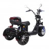 Электроскутер SKYBOARD TRIKE BR60-3000