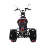 Электроскутер SKYBOARD TRIKE BR60-3000