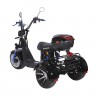 Электроскутер SKYBOARD TRIKE BR60-3000