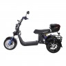 Электроскутер SKYBOARD TRIKE BR60-3000
