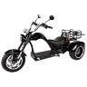 Электроскутер SKYBOARD TRIKE CHOPPER-4000 WIDE
