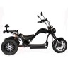  Электроскутер SKYBOARD TRIKE CHOPPER-4000 HARROW