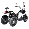  Электроскутер SKYBOARD TRIKE CHOPPER-4000 HARROW
