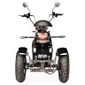  Электроскутер SKYBOARD TRIKE CHOPPER-4000 HARROW