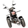  Электроскутер SKYBOARD TRIKE CHOPPER-4000 HARROW