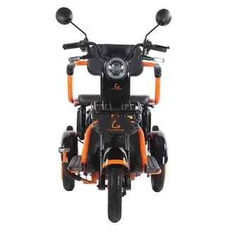 Электротрицикл SIP Trike Kugoo T1