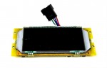 Дисплей для Kugoo S2/S3 
