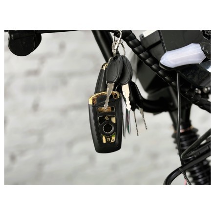 Аренда электровелосипеда Maikaolin H10 70Ah